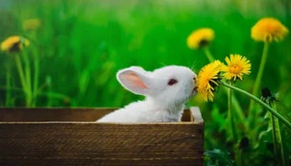 新援悉数出镜！掘金官方晒训练视频：来看球员的训练动态